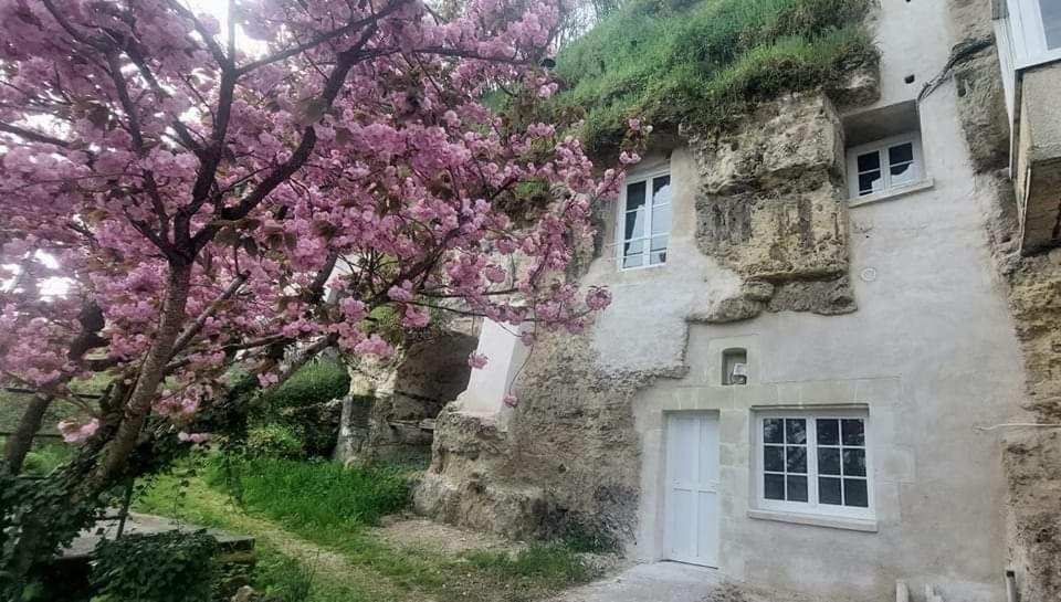 Troglo Entre Caves Et Chateaux Montlouis-sur-Loire Exterior foto